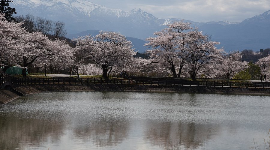 🌳 차야누마 공원